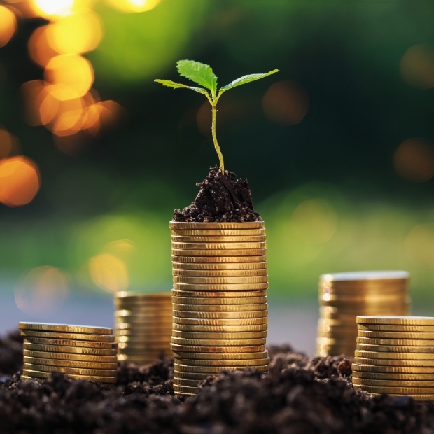 plant growing in dirt a top of coins
